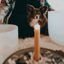 Load image into Gallery viewer, Shine Beeswax Candle with Crystal Sound Bowl and Cute Dog
